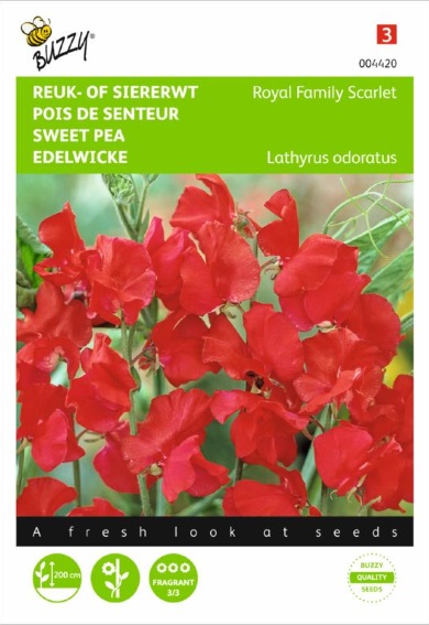 Sweet Pea Royal Family Scarlet (Lathyrus) 45 seeds BU